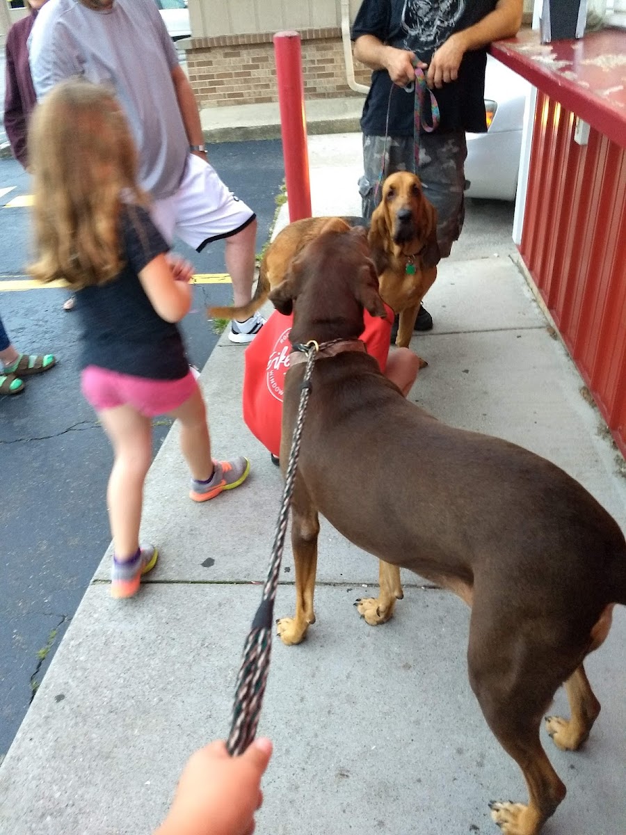 Cone Corral Photos 2